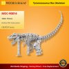 Mocbrickland Moc 90014 Tyrannosaurus Rex Skeleton (2)