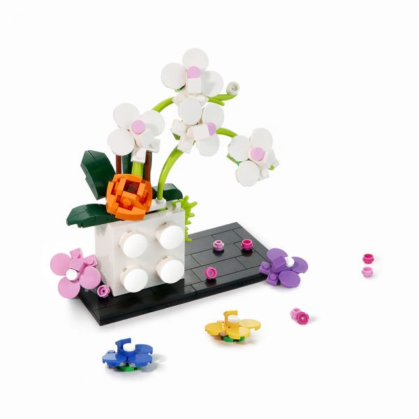 Mocbrickland Moc 896461 Queen Of Orchid Phalaenopsis (1)