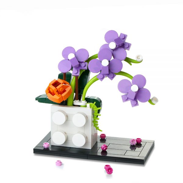 Mocbrickland Moc 896461 Queen Of Orchid Phalaenopsis (3)