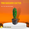 Moc 118883 Mini Saguaro Cactus 5